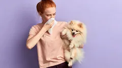 嗅覚が鋭い10の犬種――そしてその対処法