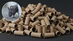  トイレブラシホルダーを使って家の中のネズミを駆除する方法：効果的な手作りトラップ