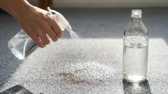 経験豊富な主婦たちがカーペットに酢をスプレーする理由:掃除を格段に楽にする5つの秘訣